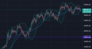 Floor In? Whales Accumulating Bitcoin, Setting the Stage for a Breakout Over $50,000