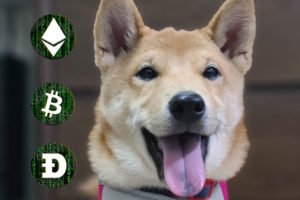 ‘Dogenations:’ Midwest’s Largest No-Kill Animal Shelter Accepting Nearly 40 Crypto Coins For Donations